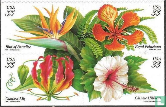 Tropische Pflanzen
