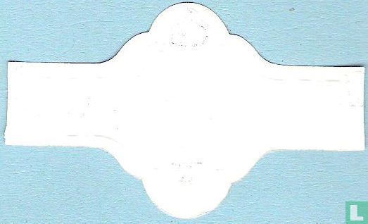 V.V. White Star Ieper - 1963-1964 - Image 2