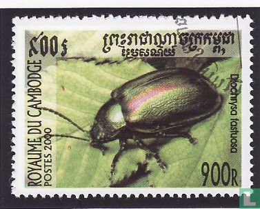 beetles 