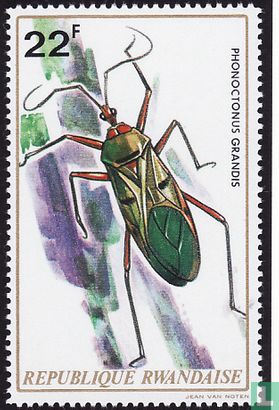 Insects