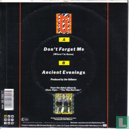 Don't forget me (when i'm gone) - Afbeelding 2
