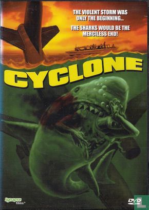 Cyclone - Image 1