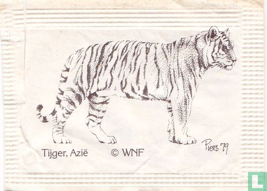 Tijger, Azië - Bild 1
