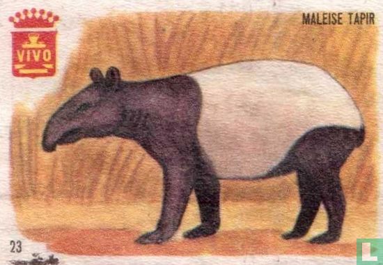 Maleise tapir