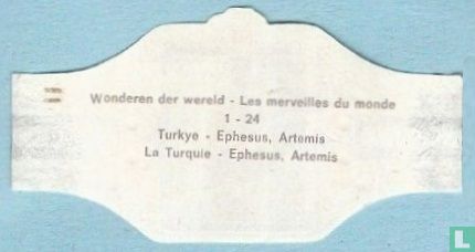 Turkije - Ephesus, Artemis - Afbeelding 2