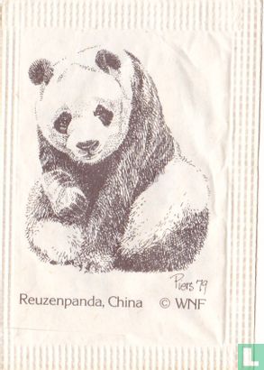 Reuzenpanda, China - Afbeelding 1