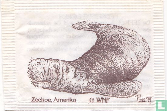 Zeekoe, Amerika - Image 1