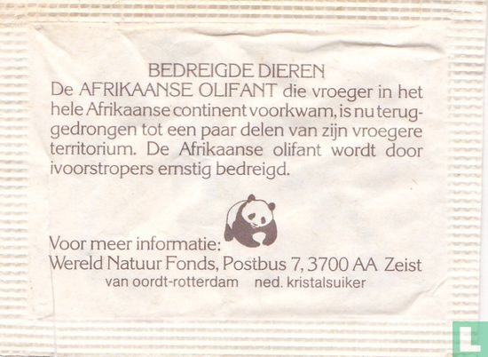 Olifant, Afrika - Image 2