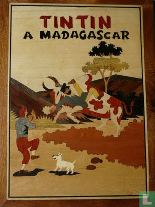 Tin Tin in Madagascar