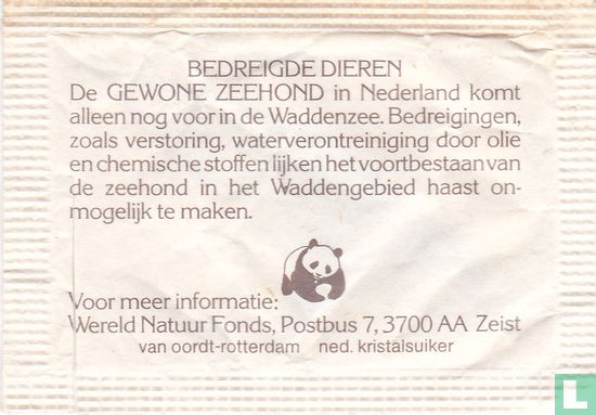 Gewone zeehond, Nederland - Afbeelding 2