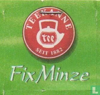 FixMinze - Image 3