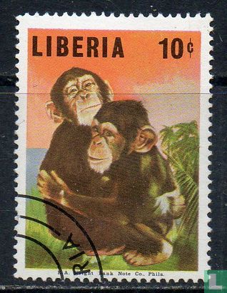 Baby-Schimpansen
