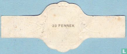 Fennek - Afbeelding 2