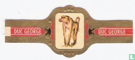 Webbi Baviaan - Image 1