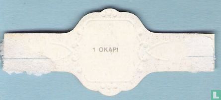 Okapi - Image 2