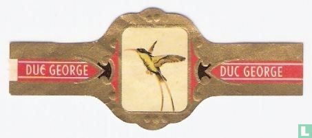 Kolibri - Image 1