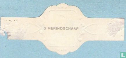 Merinoschaap - Afbeelding 2