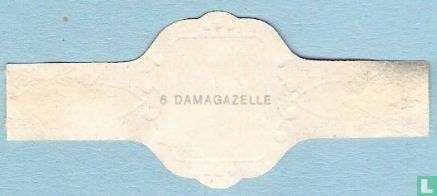 Damagazelle - Image 2