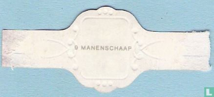 Manenschaap - Afbeelding 2