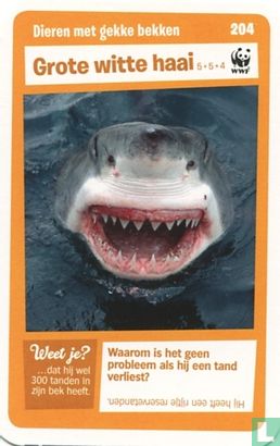 Grote witte haai - Image 1