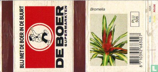De Boer - Bromelia