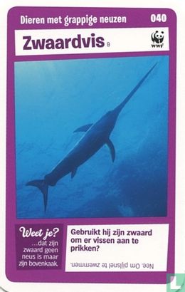 Zwaardvis - Afbeelding 1
