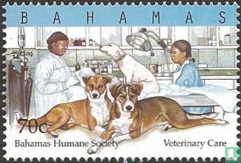 Bahamas Humane Society 