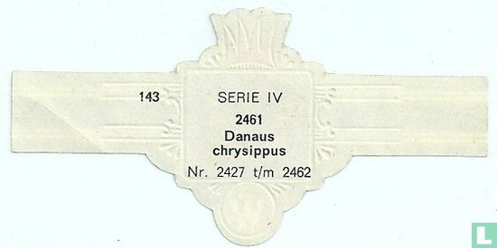 Danaus chrysippus - Bild 2