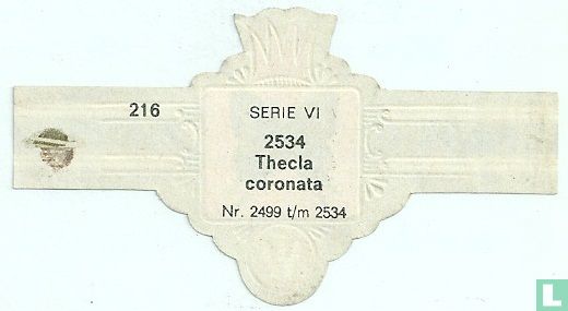 Thecia coronata - Afbeelding 2