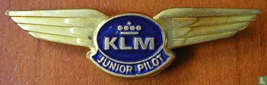 KLM Junior Pilot - Image 1