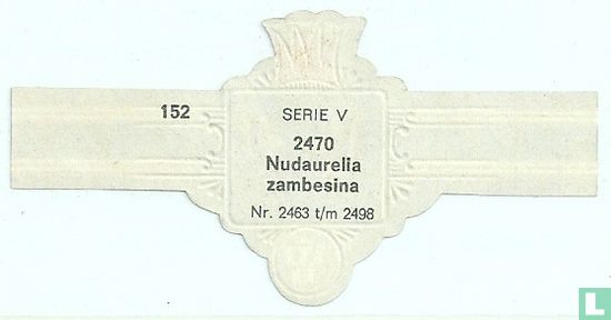 Nudaurelia zambesina - Afbeelding 2