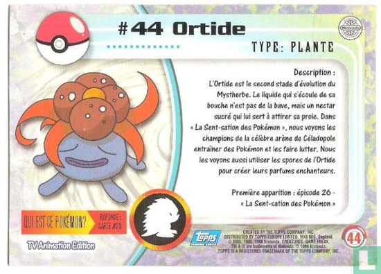 Ortide - Bild 2