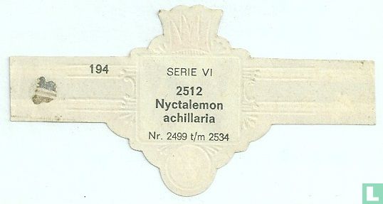Nyctalemon achillaria - Image 2