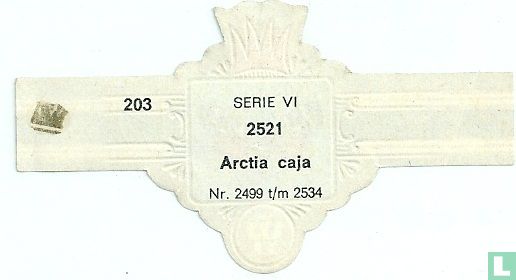Arctia caja - Afbeelding 2