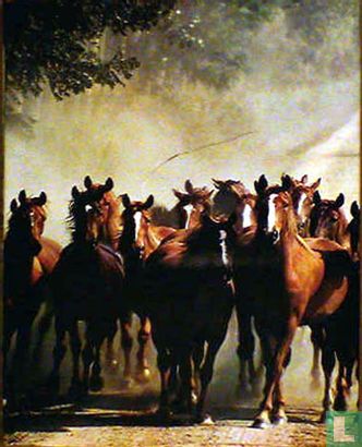 Onze paarden - Image 1