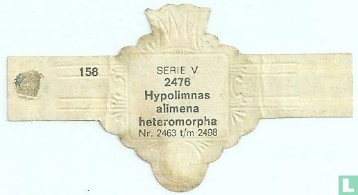 Hypolimnas alimena - Afbeelding 2