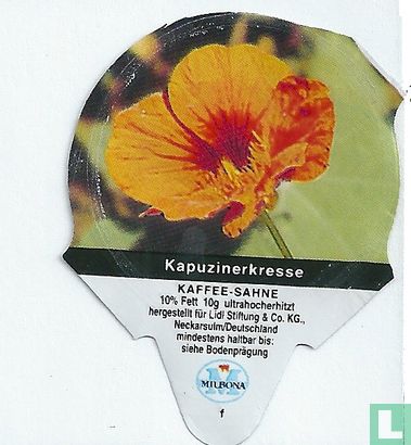 Heimische Blumen - Kapuzinerkresse