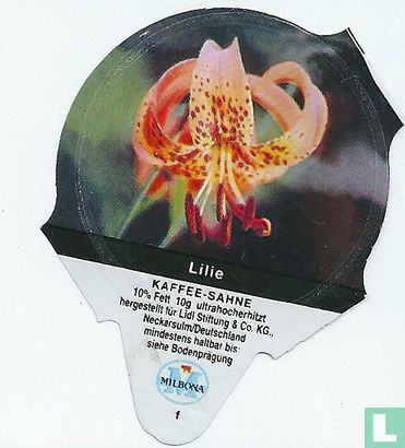 Heimische Blumen - Lilie