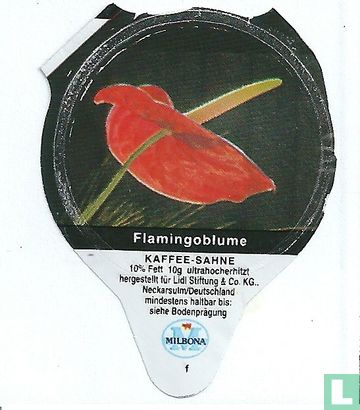 Heimische Blumen - Flamingoblume