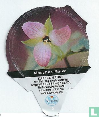 Heimische Blumen - Moschus-Malve