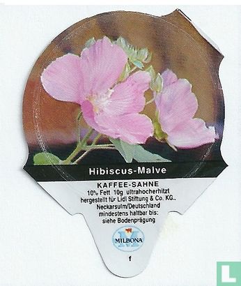 Heimische Blumen - Hibiscus-Malve