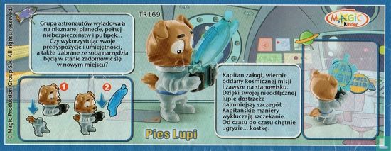 Pies Lupi - Afbeelding 3