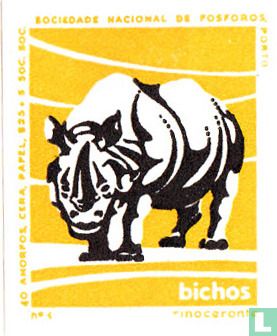 Rinoceronte (Neushoorn)
