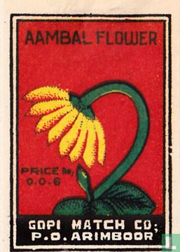 Aambal flower