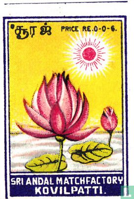 beeld van lotusbloem