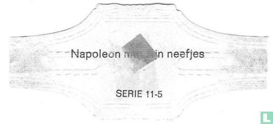 Napoleon met zijn neefjes - Bild 2
