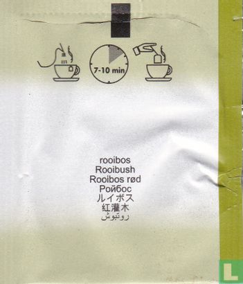 Rotbusch - Bild 2