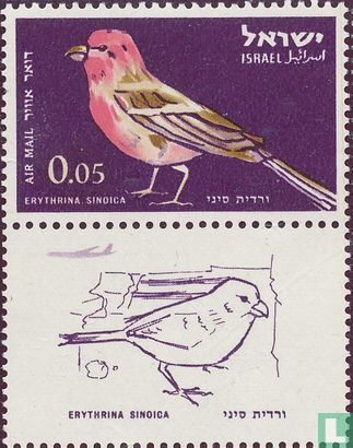 Vögel - Bild 1