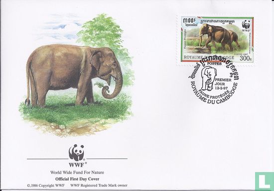 Malaysian elephant