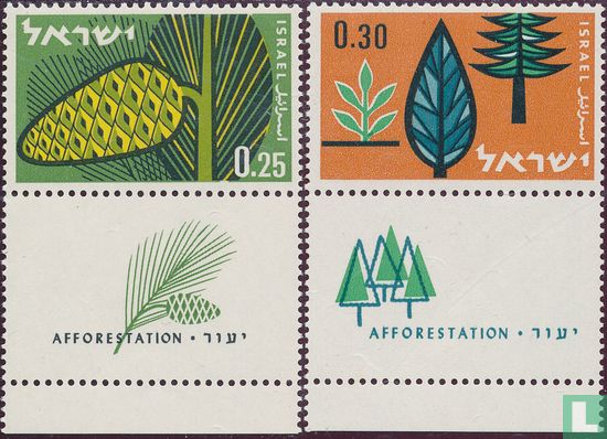 Afforestation  - Image 1